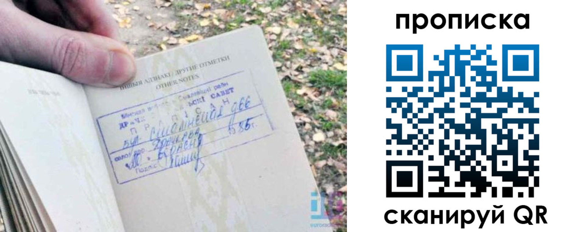 прописка в квартире в Славгороде